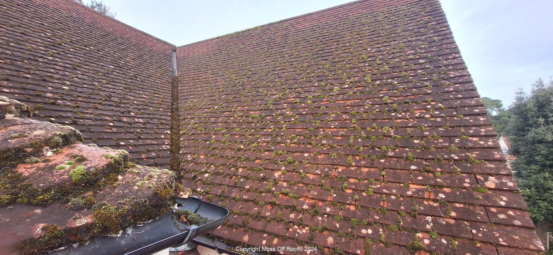 Tiled roof heavily covered in moss and grime before cleaning