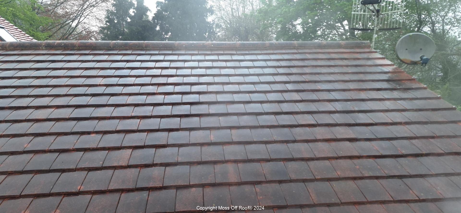 Cleaned tiled roof surface after moss and algae removal treatment