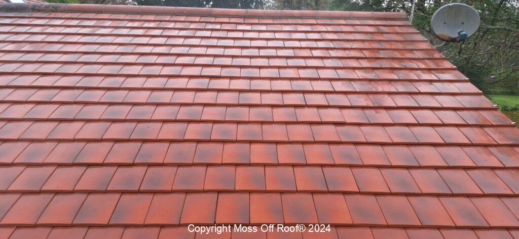 Fully cleaned red roof tiles with restored natural colour and finish