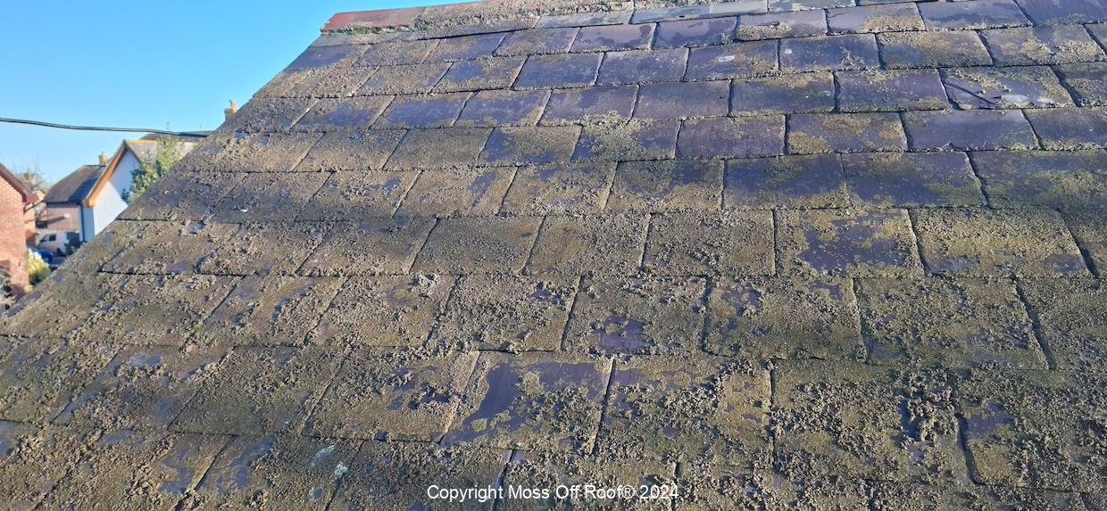 Slate roof with moss and algae before professional cleaning