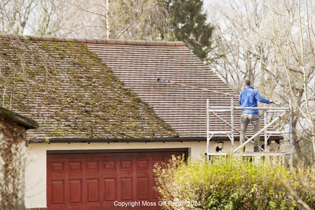 Roof covered in heavy moss buildup prior to soft washing treatment