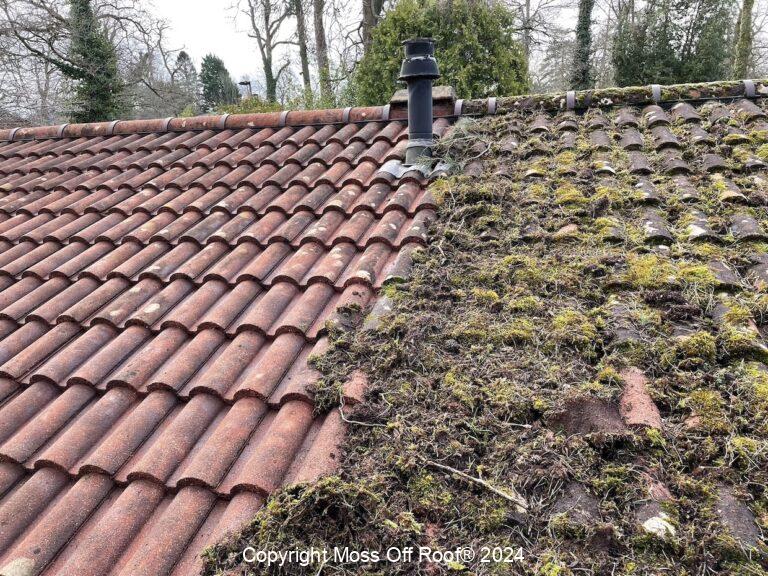 Severe moss infestation on tiled roof with specialist performing removal