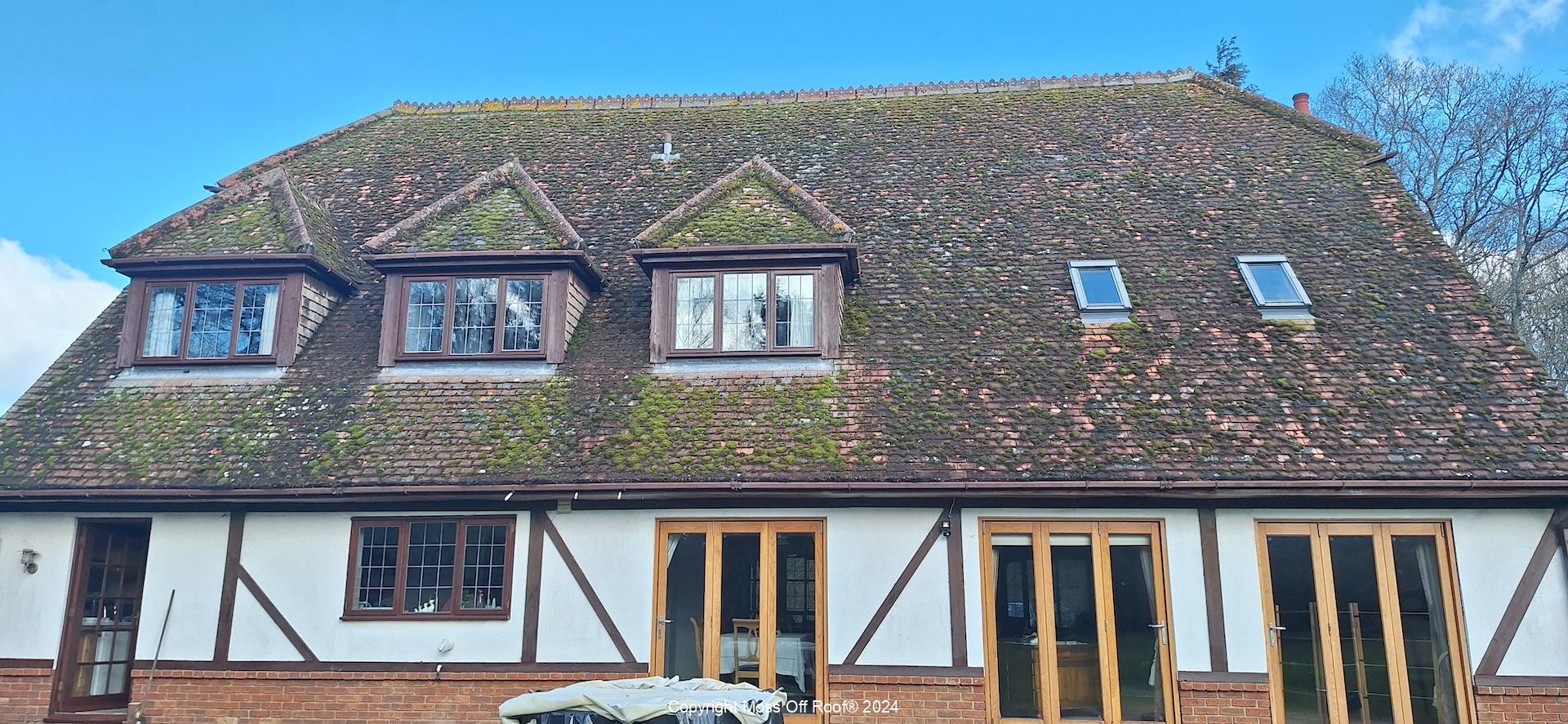 Heavily moss-covered tiled roof before professional cleaning