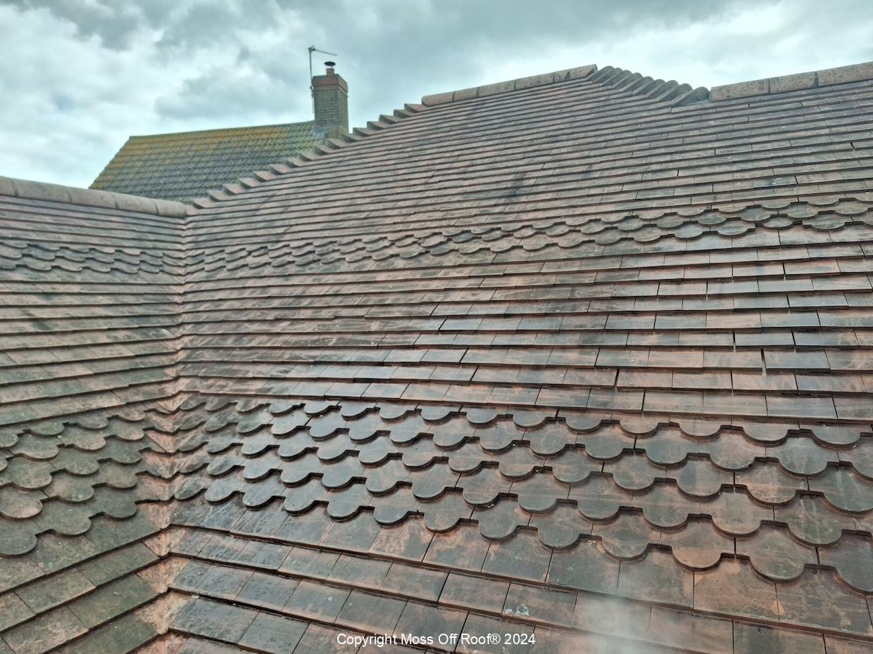 Roof cleaning in progress on grey tiled roof using safe soft wash system